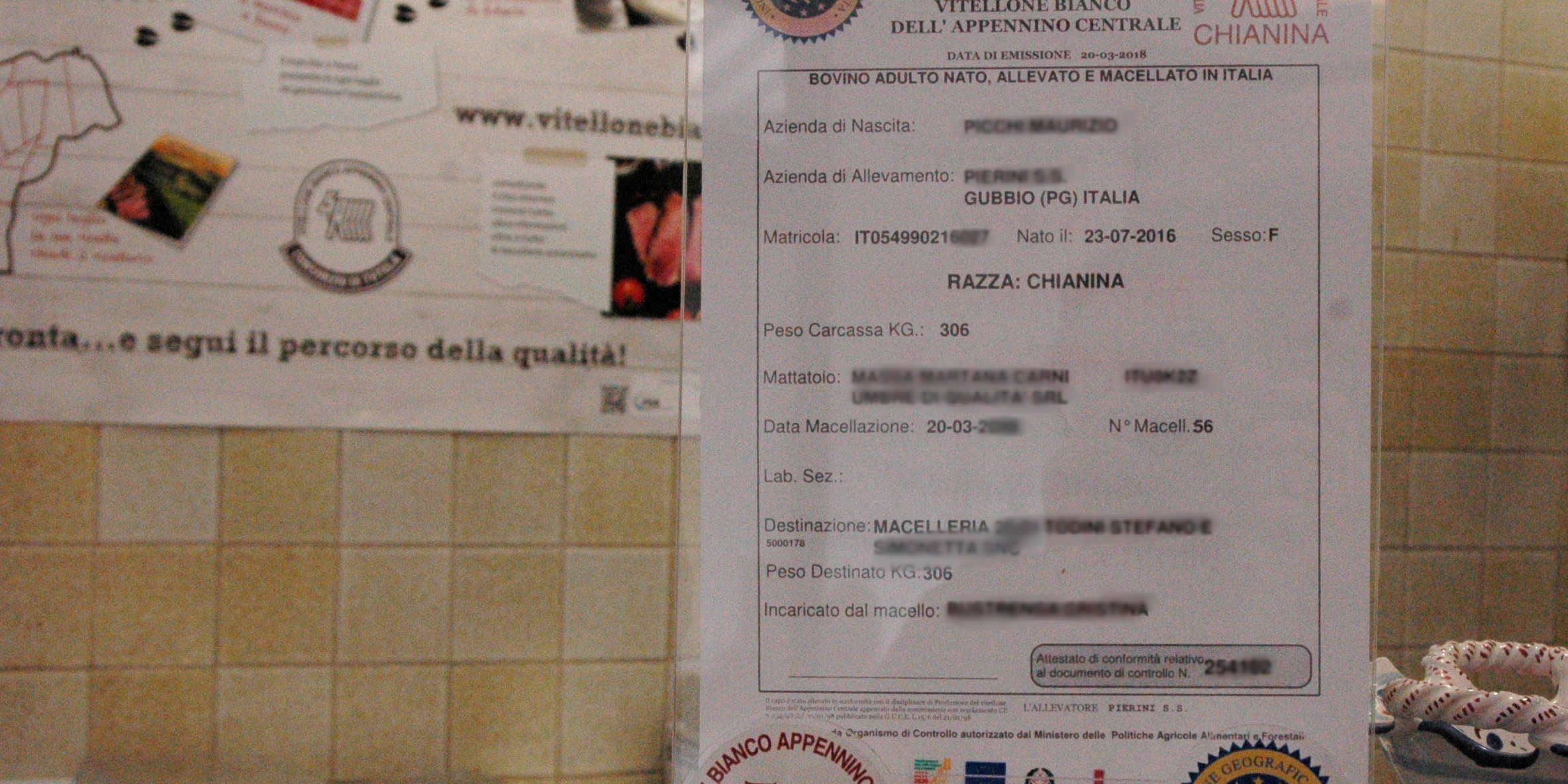 portacertificato new1