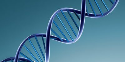 dna-barcoding-post8