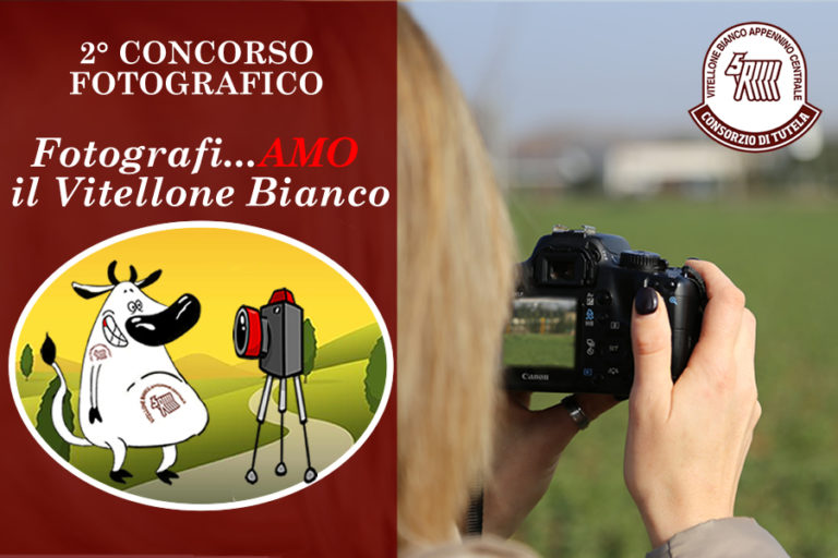 Volantino 2 CONCORSO FOTOGRAFICO