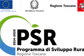 logo-psr (1)