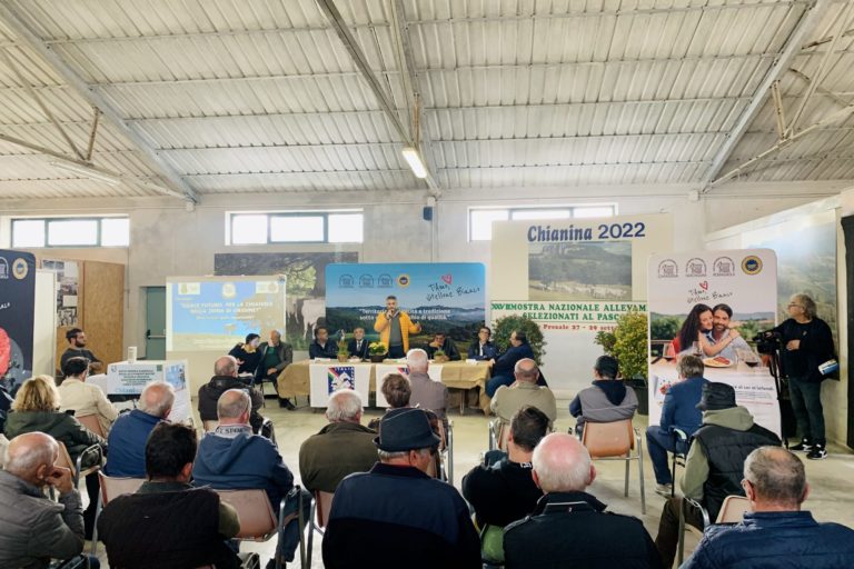 Ponte Presale settembre 2022 (15)