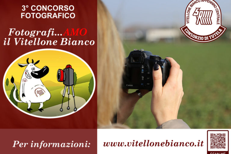concorso fotografi..amo – 3 Edizione