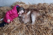 1- La Bella e la Bestia