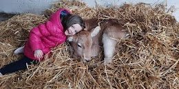 1- La Bella e la Bestia