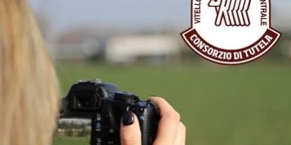 vitellone in vacanza – Copia