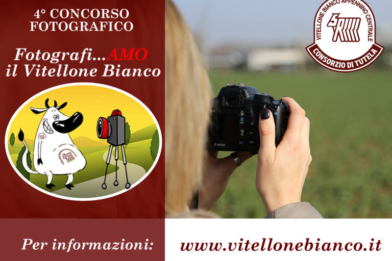 Pubblicitá Mucca Foto – 4 Edizione