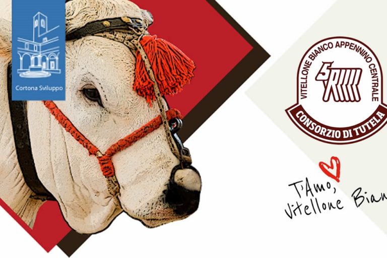 Programma Consorzio Vitellone Bianco – Copia