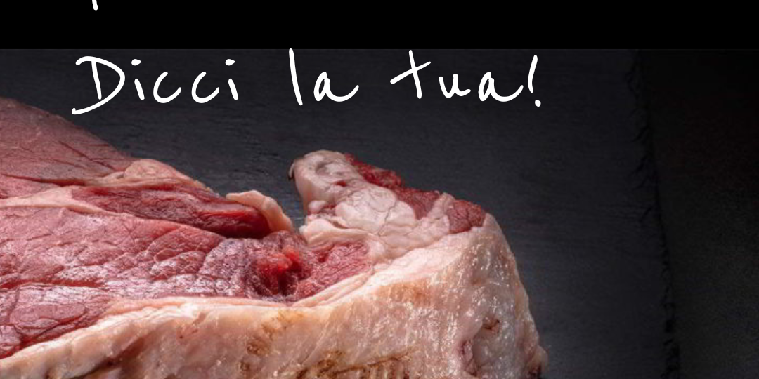 foto news questionario