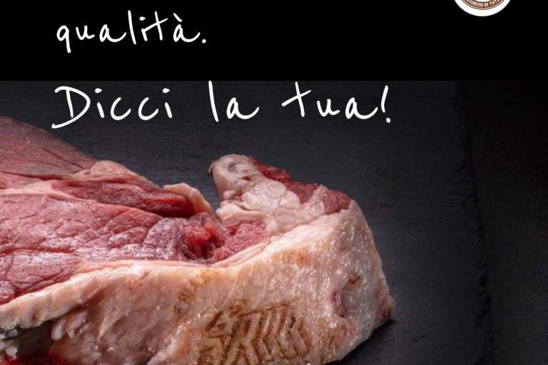 foto news questionario