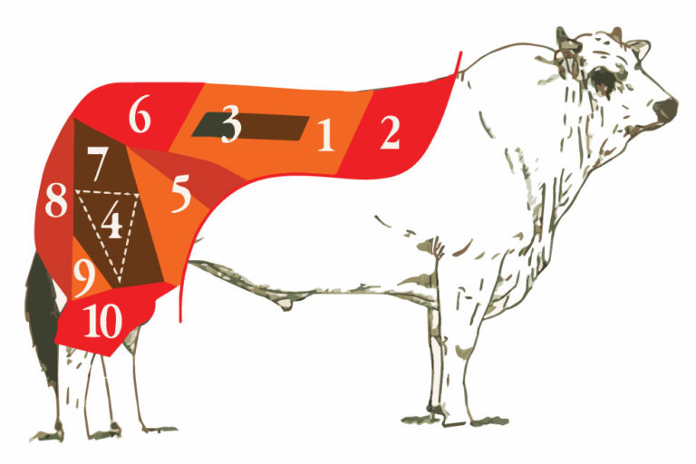 news 3_tagli-carne-posteriore (1)