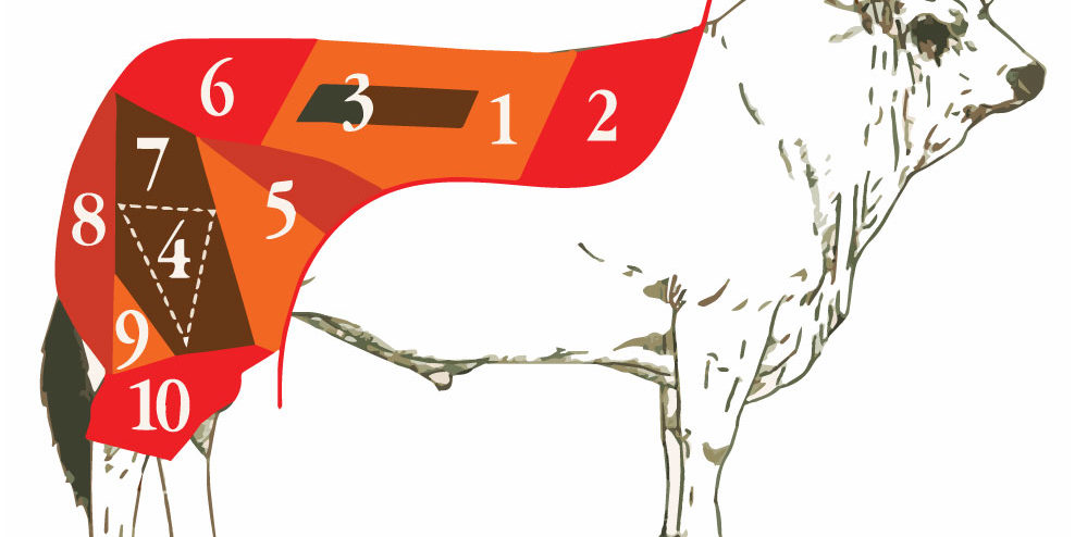 news 3_tagli-carne-posteriore (1)