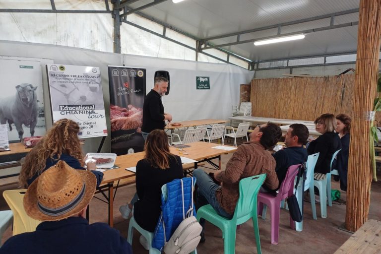 news2_Valle del Gigante Bianco