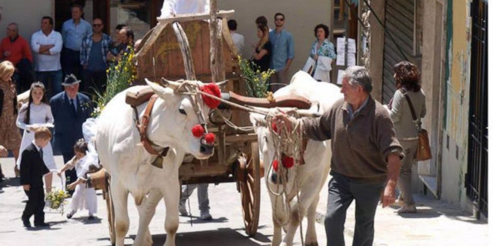 phpThumb_generated_thumbnail (1)