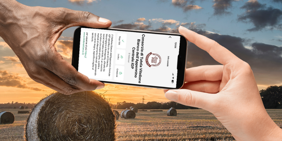 Progetto senza titolo (22)