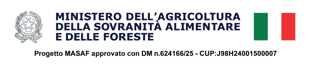 StringaMASAf progetto