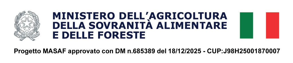 StringaMASAf progetto